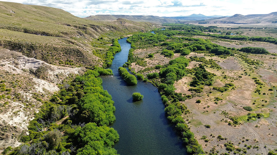Chimehuín