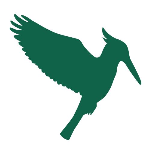 Reverse Withdrawal Payment