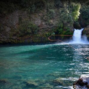 Nuevo producto Alejandro