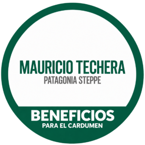 MAURICIO TECHERA