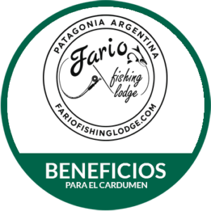 FARIO