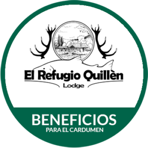 EL REFUGIO QUILLEN